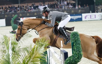 (c) World of Showjumping