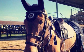 Cosi after his great result last week!