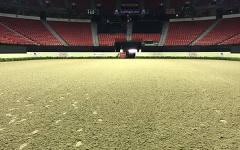 The ring here in Vegas