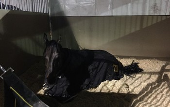 Sleepy Alien