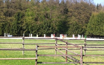 Grass paddocks