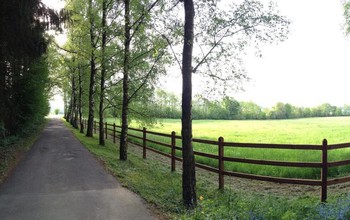 Fields