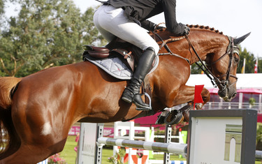 Marc Houtzager with Sterrehof's Uppity