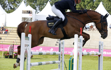 Marco Kutcher with Balermo