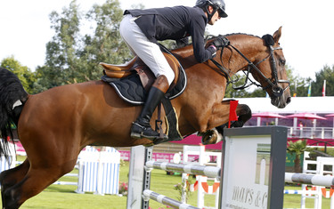 Nicolas Delmotte with Darmani van T Heike