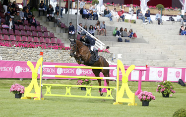 Niklaus Rutschi with SI Gracieuse Ardente