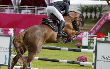 Niklaus Rutschi with SI Gracieuse Ardente