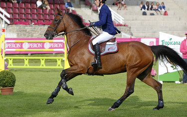 Pedro Veniss with Shou d Ouilly