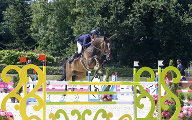 Bertram Allen with GK Casper