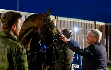 Richard Vogel, United Touch, groom, Felicia Wallin
CSI5*-W Stuttgart German Masters
2024-11-17
© Jenny Abrahamsson/World of Showjumping