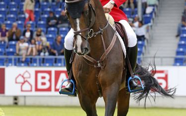 Christian Ahlmann with Taloubet Z