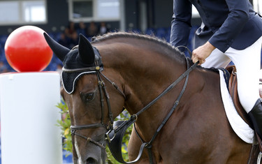 Jerome Hurel with Quartz Rouge