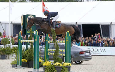 Laura Kraut with Nouvelle