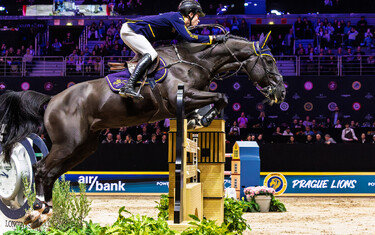 Thibeau Spits, Impress-K van't Kattenheye Z