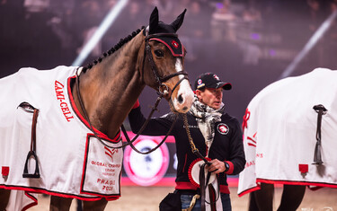 Scott Brash, Hello Jefferson, David Honnet