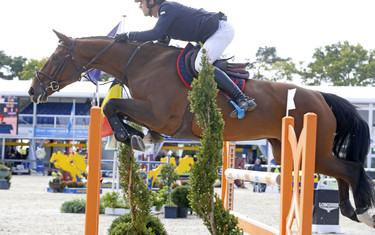 Nicola Philippaerts with Inouk P