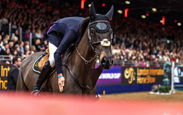Tim Gredley, Imperial HBF
London International Horse Show
2023-12-17
© Jenny Abrahamsson/World of Showjumping