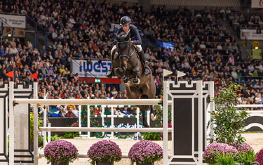 Tim Gredley, Imperial HBF
CSI5*-W Stuttgart German Masters
2024-11-17
© Jenny Abrahamsson/World of Showjumping