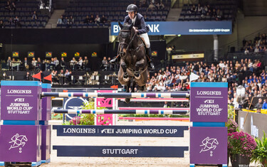 Tim Gredley, Imperial HBF
CSI5*-W Stuttgart German Masters
2024-11-17
© Jenny Abrahamsson/World of Showjumping