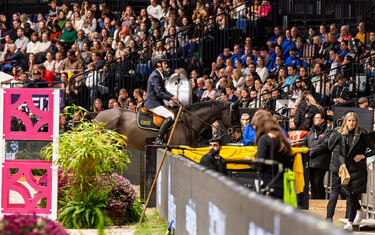 Tim Gredley, Imperial HBF
CSI5*-W Stuttgart German Masters
2024-11-17
© Jenny Abrahamsson/World of Showjumping