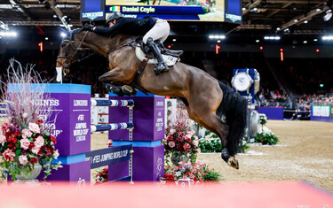 Daniel Coyle, Legacy
London International Horse Show
2023-12-18
© Jenny Abrahamsson/World of Showjumping