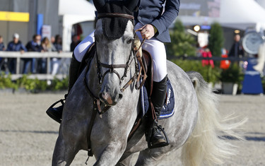Dieter Laheyne Kendy with Belle van 'T Roosakker