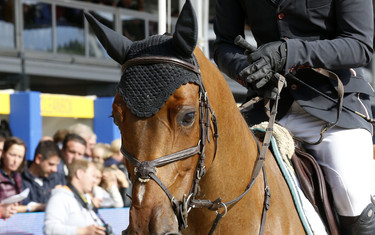 Doron Kuipers with Kerswin van 'T Roosakker