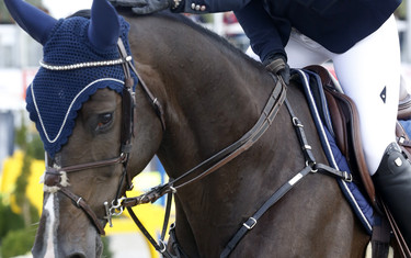 Jennifer Pedersen with Quisandro