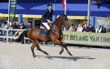 Maikel van Mierlo with Follow Up