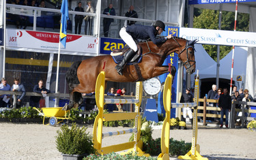 Maikel van Mierlo with Follow Up