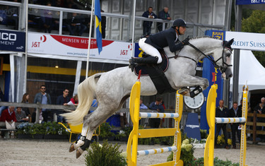 Marco Ciucci with Twice Over