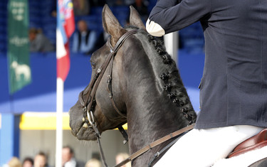 Nick Verlies with Gismo Z
