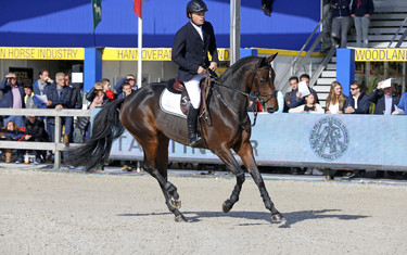 Willem Greve with Formidable