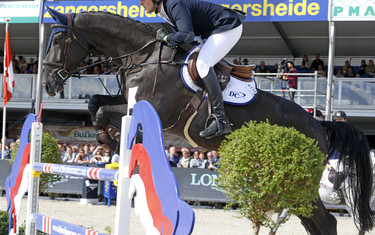 Damien Haelterman with Jarcobond van den Oude Eik