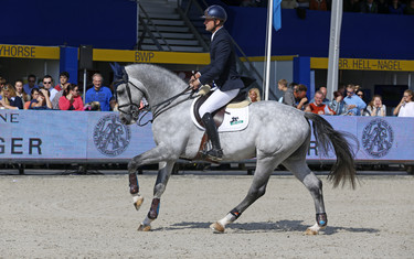 Magnus Österlund with Comfortuna VDL
