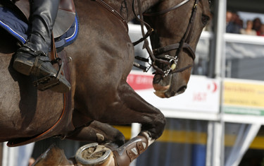 Maikel van Mierlo with Earley