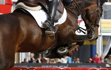 Marc Bettinger with Vesta de Coquerie