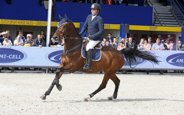 Peter Olthof with Zorro H