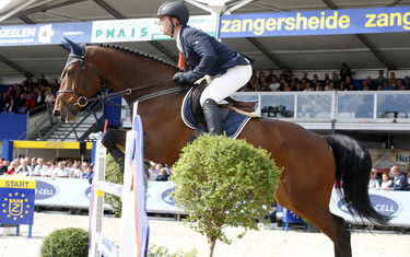 Peter Olthof with Zorro H