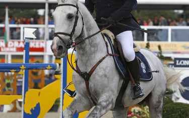 Wout-Jan van der Schans with Eoma's Blue Sfn