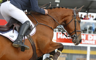 Yves Vanderhasselt with Jeunesse