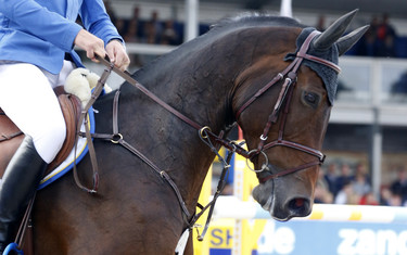Christian Ahlmann with Ciao Conni St