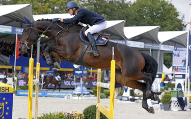 Wilm Vermeir with IQ van het Steentje