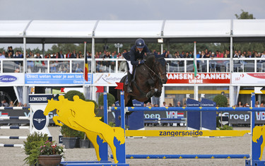 Wilm Vermeir with IQ van het Steentje