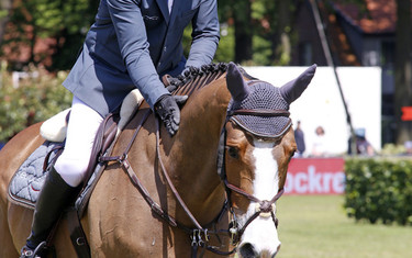 Cameron Hanley with Antello Z. Photo (c) Jenny Abrahamsson.