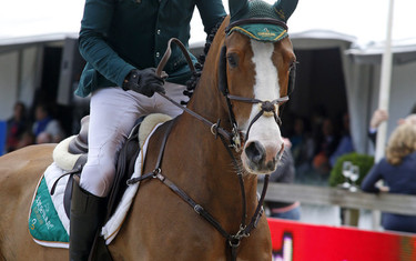 Cameron Hanley with Antello Z. Photo (c) Jenny Abrahamsson.