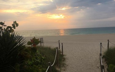 Miami blog