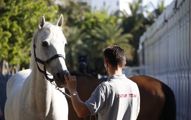 © Stefano Grasso/LGCT all rights reserved