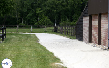 Johan Heins' beautiful yard. Photo (c) Jenny Abrahamsson.