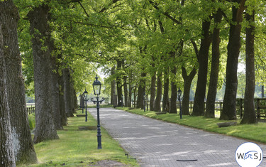 Johan Heins' yard where Beezie is based during her time in Europe. Photo (c) Jenny Abrahamsson.